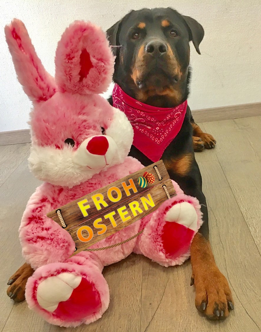 Frohe-Ostern